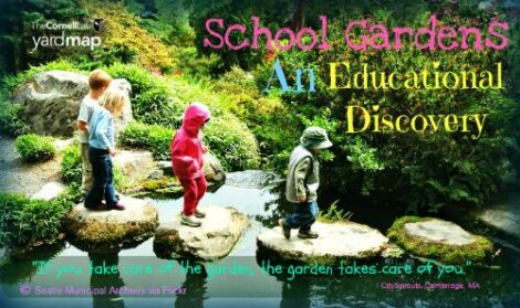 The Resurgence of School Gardens Image